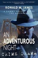 book cover for An Adventurous Night