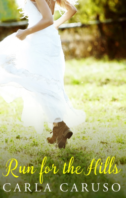 book cover for Run For The Hills