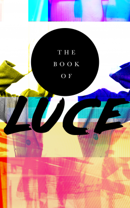 book cover for The Book of Luce