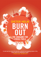 book cover for Burn Out