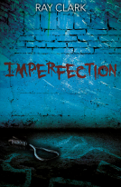 book cover for Imperfection