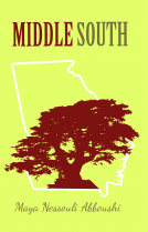 book cover for Middle South