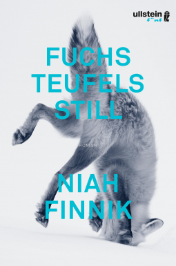 Buchcover für Fuchsteufelsstill