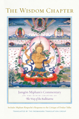 book cover for The Wisdom Chapter