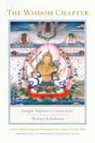 book cover for The Wisdom Chapter