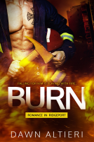 book cover for Burn