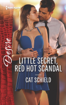 book cover for Little Secret, Red Hot Scandal