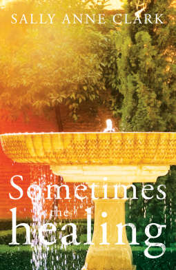 book cover for Sometimes the Healing