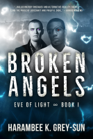 book cover for Broken Angels