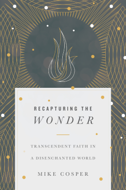 book cover for Recapturing the Wonder