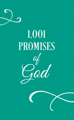 book cover for 1001 Promises of God