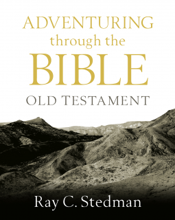book cover for Adventuring through the Bible: Old Testament