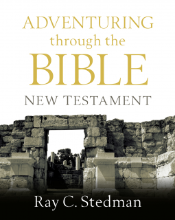 book cover for Adventuring through the Bible: New Testament
