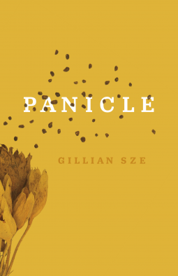 book cover for Panicle