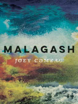 book cover for Malagash