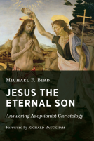 book cover for Jesus the Eternal Son