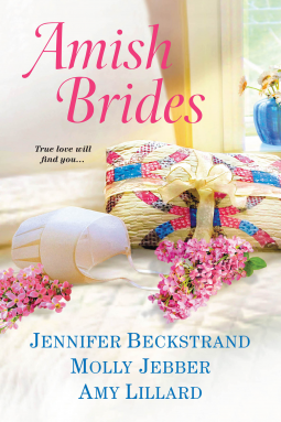 book cover for Amish Brides