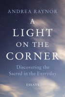 book cover for A Light on the Corner