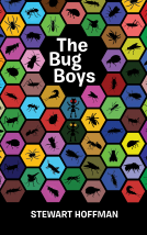 book cover for The Bug Boys