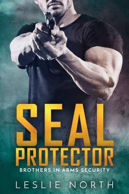 book cover for SEAL Protector