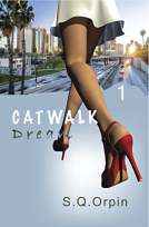 book cover for Catwalk, Dream