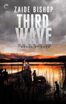 book cover for Third Wave