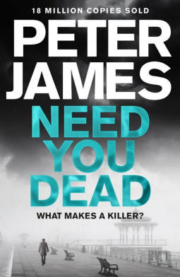book cover for Need You Dead (Roy Grace #13)
