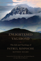 book cover for Enlightened Vagabond
