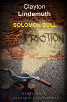 book cover for Solomon Bull