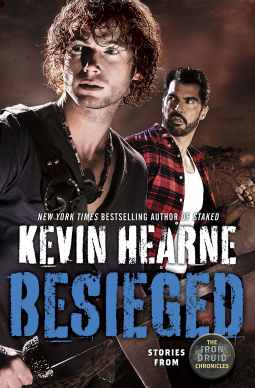book cover for Besieged