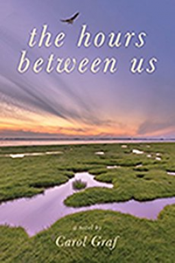 book cover for The Hours Between Us
