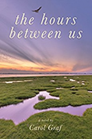 book cover for The Hours Between Us