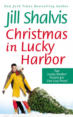 book cover for Christmas in Lucky Harbor