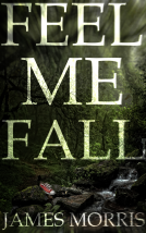 book cover for Feel Me Fall