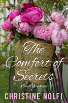 book cover for The Comfort of Secrets