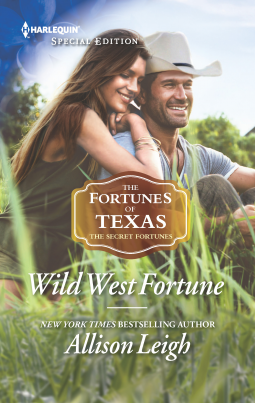 book cover for Wild West Fortune