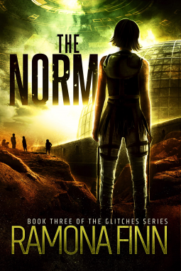 book cover for The Norm