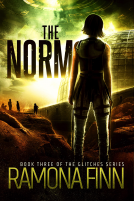 book cover for The Norm