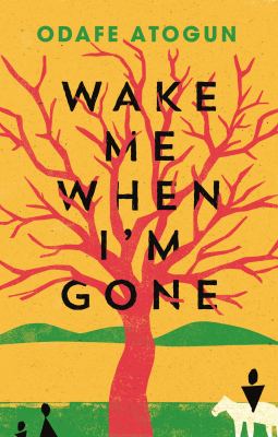 book cover for Wake Me When I'm Gone