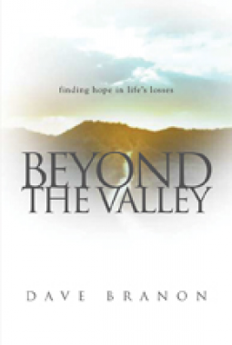 book cover for Beyond the Valley