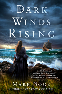 book cover for Dark Winds Rising