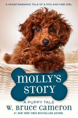 book cover for Molly's Story