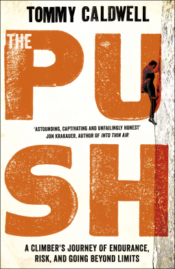 book cover for The Push