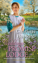 book cover for Weddings at Promise Lodge