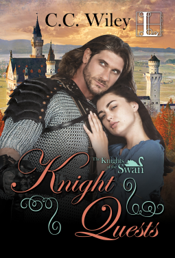 book cover for Knight Quests