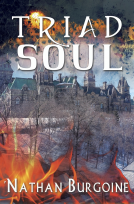 book cover for Triad Soul