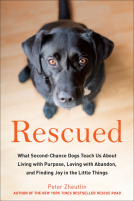 book cover for Rescued