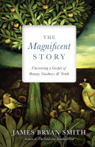 book cover for The Magnificent Story