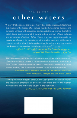 book cover for Other Waters