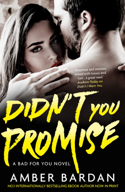 book cover for Didn't you Promise